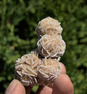 Selenit( Gips) von Mexico