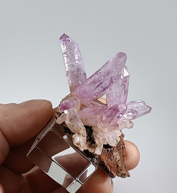 Amethyst, Mexico – Bild 4